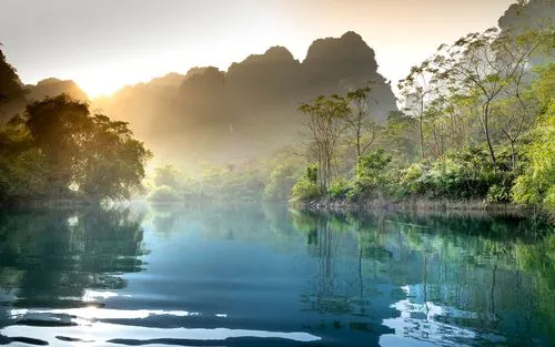 高端高端
